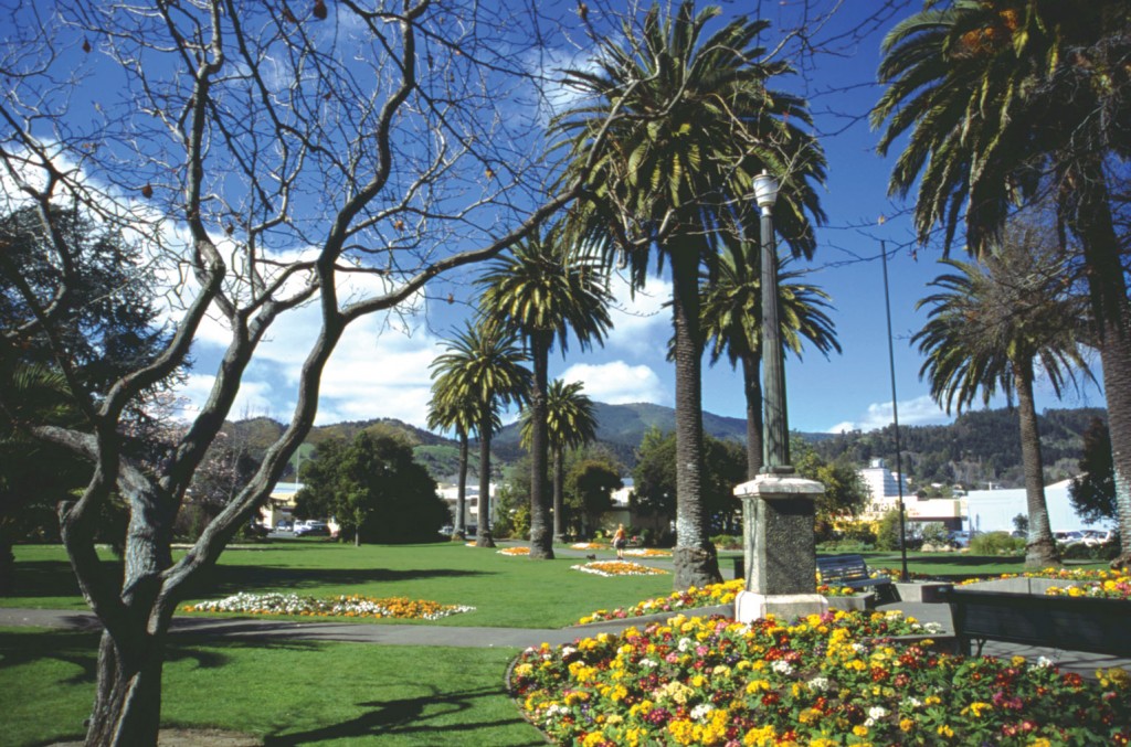 palms-anzac-park-1533x1015
